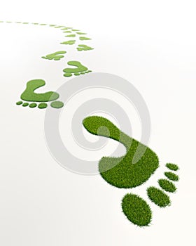 Grass green footprints