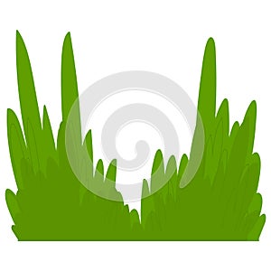 Grass green isolated on white vector, nature plant lawn illustartion
