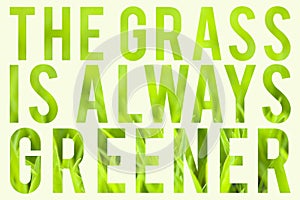 Grass is Always Greener photo