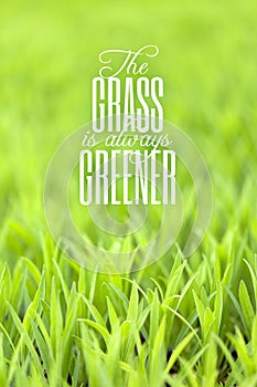 Grass is Always Greener Quote photo