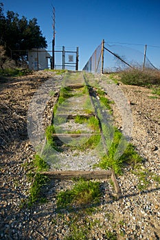 Grass Growing on Gravel Steps