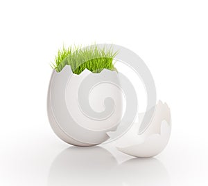 Grass growing out of an egg.