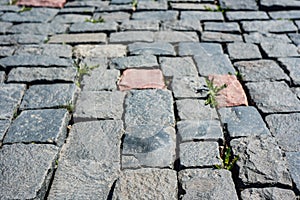 Grass grows through the pavement