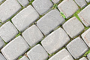 The grass grows through the stones of the paving stones