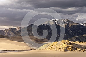 Grass grows on top of a sand dune in a mountain landscape