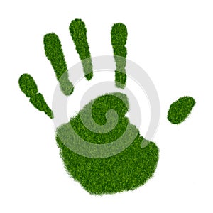 Grass Handprint photo