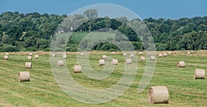 Grass harvest on a field