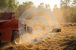 Grass harvesting machinery. forage harvester cutting pangola grass silage crop in field. Agriculture