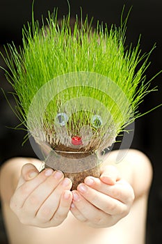 Grass head toy