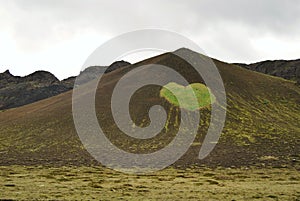 Grass heart near Kleifarvatn lake in Reykjanes, Iceland