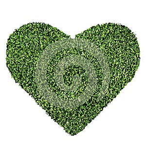 Grass Heart Shape