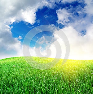 Grass and heart sign in sky