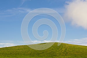 Grass hill