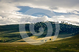 Grass hills covered with trees in steppe under spectacular clouds sky during sunset