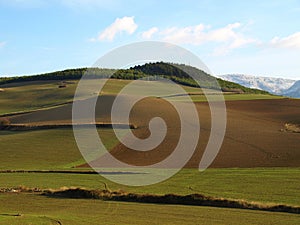 Grass Hills in Elorz