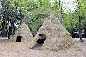 Grass house for homeless person