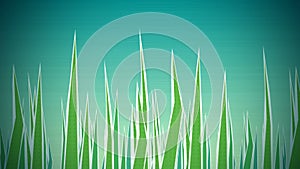 Grass Illustrated Loop