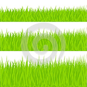 Grass Illustration