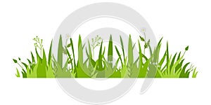 Grass Illustration