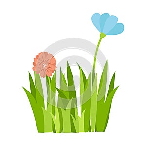 Grass Illustration With Flowers