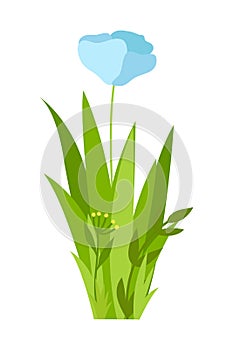 Grass Illustration With Flowers