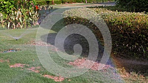 grass irrigation. Lawn irrigation system. lawn sprinkler. irrigation system. water sprinklers are working, watering lawn