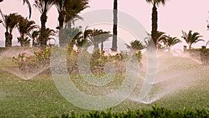 grass irrigation. Lawn irrigation system. lawn sprinkler. irrigation system. water sprinklers are working, watering lawn
