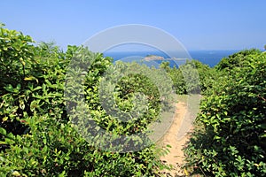 Vegetation, nature, reserve, sky, shrubland, tree, mount, scenery, trail, biome, plant, community, jungle, promontory, hill, stati photo