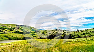 Grass Lands of the Nicola Valley in, British Columbia, Canada