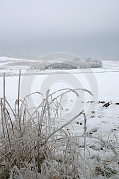 Grass and landscape frost