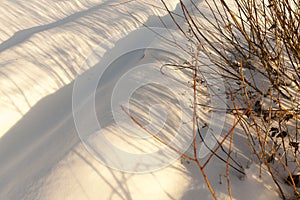 grass in large drifts after snowfalls and blizzards, the winter