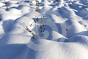 grass in large drifts after snowfalls and blizzards, the winter