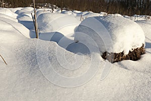 grass in large drifts after snowfalls and blizzards, the winter