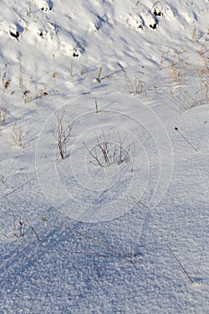 grass in large drifts after snowfalls and blizzards, the winter