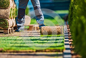 Grass Lawn Installation