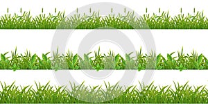 Grass Leaves Seamless Pattern