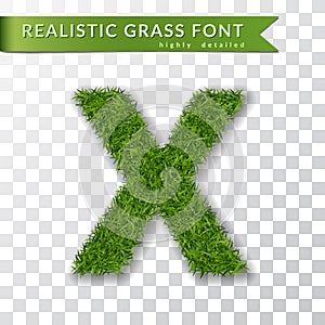 Grass letter X, alphabet 3D design. Capital letter text. Green font isolated white transparent background, shadow