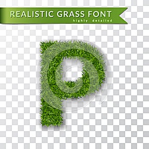 Grass letter P, alphabet 3D design. Capital letter text. Green font isolated white transparent background, shadow