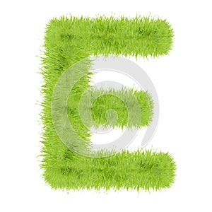 Grass letter on white background