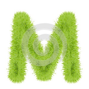 Grass letter on white background