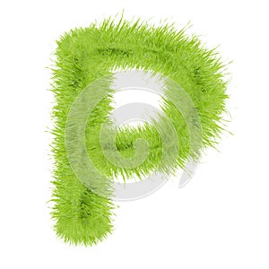 Grass letter on white background