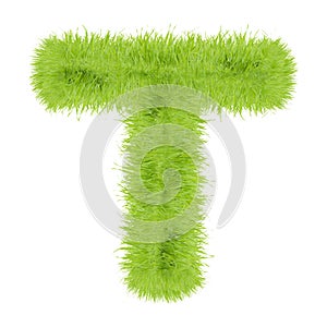 Grass letter on white background