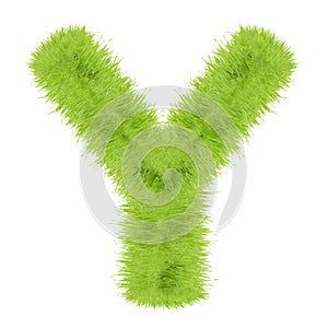 Grass letter on white background