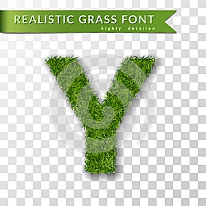 Grass letter Y, alphabet 3D design. Capital letter text. Green font isolated white transparent background, shadow