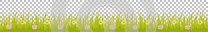 Grass line seamless with variegated colorful flowers
