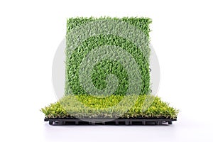 Grass mat on white background. Artificial turf tile background. Object and background concept