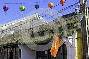 Grass and moss on hoi-an roof