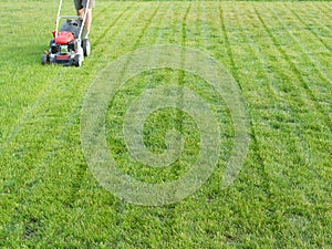 Grass mowing