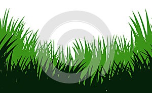 Grass. Nature rural landscape. Pasture overgrown. Overgrown dense lawn. Isolated on white background. Vector