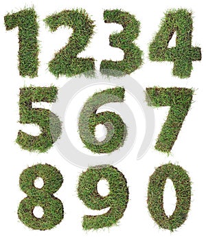Grass Numbers Cutout photo